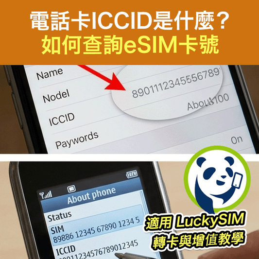 電話卡ICCID是什麼？iPhone與Android如何查詢eSIM卡號 (適用LuckySIM轉卡與增值教學)